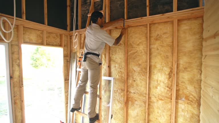 Best Attic Insulation Installation  in USA